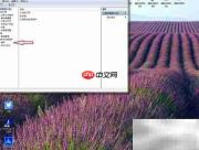 禁用ArcGIS许可管理器方法