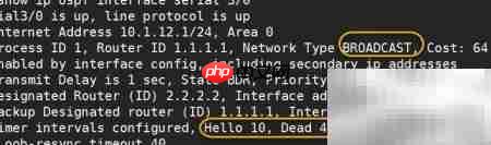 OSPF广播网络类型解析