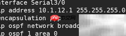 OSPF广播网络类型解析