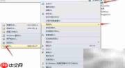 VS中C项目条件编译技巧