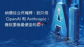 纳德拉公开摊牌：别只信 OpenAI 和 Anthropic，微软要做最便宜的那个