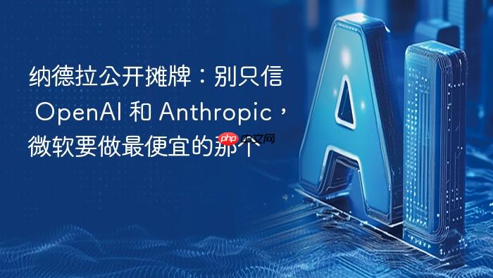 纳德拉公开摊牌：别只信 openai 和 anthropic，微软要做最便宜的那个
