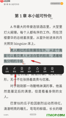 掌阅手机版设置发布段落想法的方法