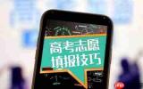 高考志愿填报怎么填