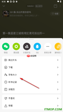 番茄畅听手机版设置自定义调节播放页字体大小的方法