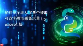 如何安全地从字典中提取可选字段而避免大量 try-except 块