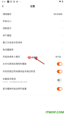 番茄畅听手机版设置启用车载蓝牙歌词的方法