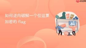 如何逆向破解一个位运算加密的 flag