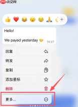 WhatsApp如何翻译对方发来的消息