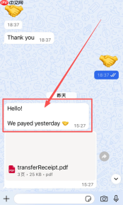 WhatsApp如何翻译对方发来的消息