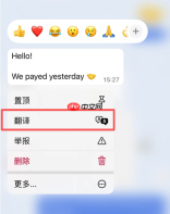 WhatsApp如何翻译对方发来的消息