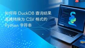 如何将 DuckDB 查询结果直接转换为 CSV 格式的 Python 字符串