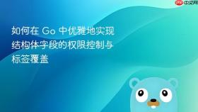 如何在 Go 中优雅地实现结构体字段的权限控制与标签覆盖