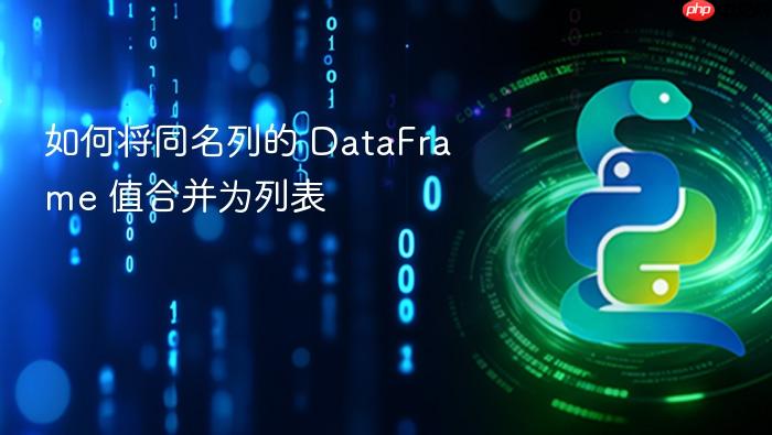 如何将同名列的 DataFrame 值合并为列表
