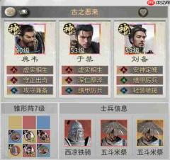 三国天下归心典韦格挡队玩法攻略