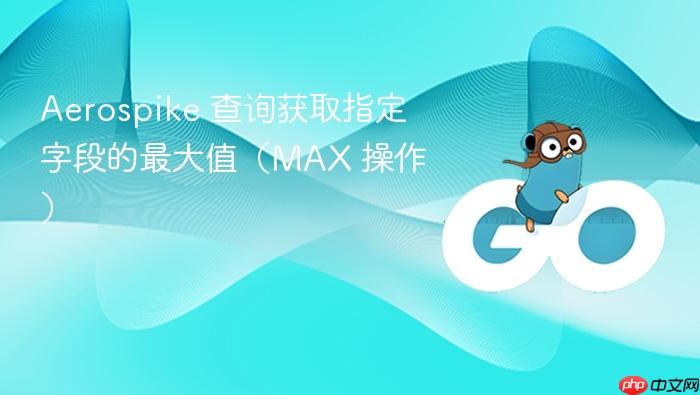 Aerospike 查询获取指定字段的最大值(MAX 操作)