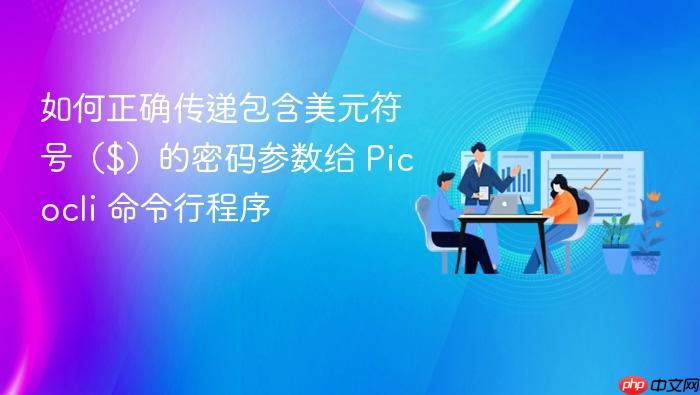 如何正确传递包含美元符号($)的密码参数给 Picocli 命令行程序