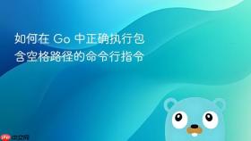 如何在 Go 中正确执行包含空格路径的命令行指令