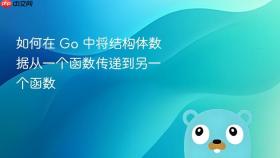 如何在 Go 中将结构体数据从一个函数传递到另一个函数
