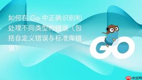 如何在 Go 中正确识别和处理不同类型的错误(包括自定义错误与标准库错误)