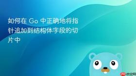 如何在 Go 中正确地将指针追加到结构体字段的切片中
