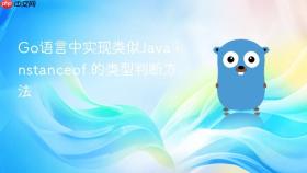 Go语言中实现类似Java instanceof 的类型判断方法