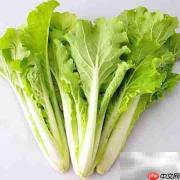 营养配餐：科学计算进食量