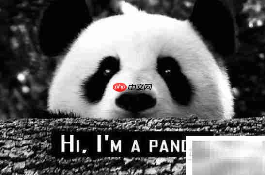 hi怎么读?一文读懂