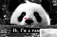 hi怎么读？一文读懂