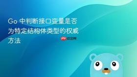 Go 中判断接口变量是否为特定结构体类型的权威方法