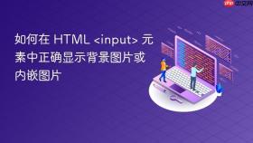 如何在 HTML <input> 元素中正确显示背景图片或内嵌图片

