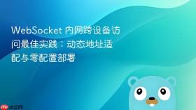 WebSocket 内网跨设备访问最佳实践：动态地址适配与零配置部署
