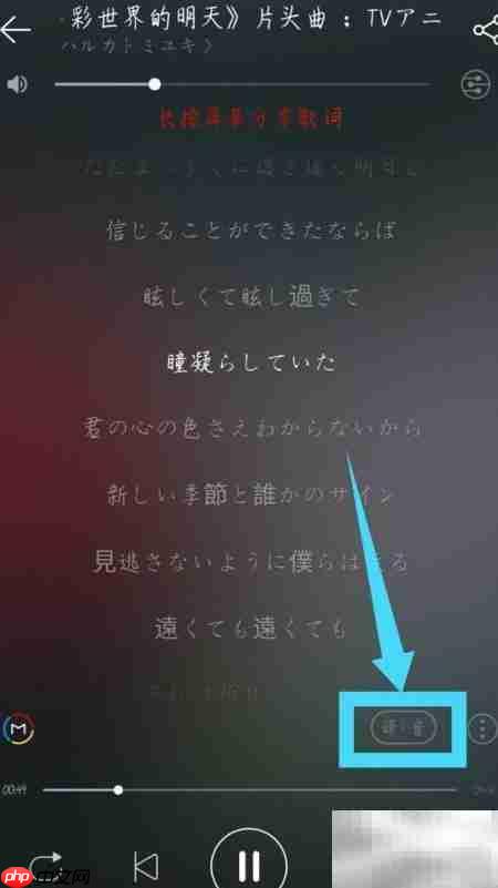 网易云歌词显示罗马音方法