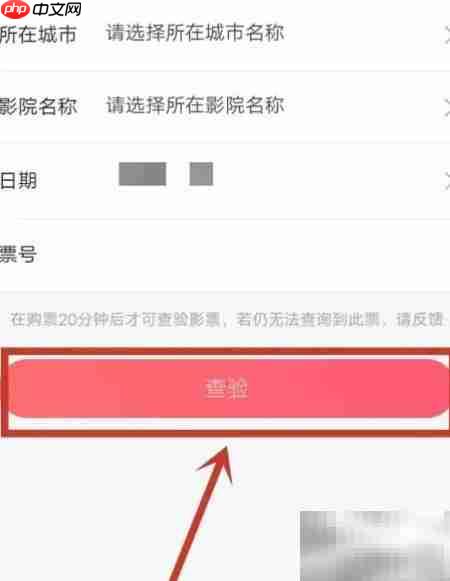 淘票票验票操作指南