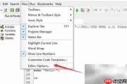 DzSoft PHP Editor设置保持空白