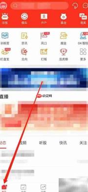 牛股王DK智投查看方法