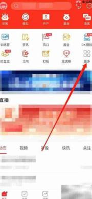 牛股王DK智投查看方法