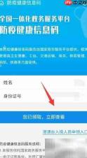 支付宝健康码申请指南