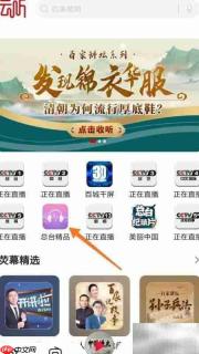 云听守护迁徙鸟指南