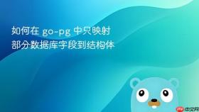 如何在 go-pg 中只映射部分数据库字段到结构体