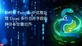 如何在 Pandas 中优雅处理 Excel 多行合并字段的拆分与空值对齐