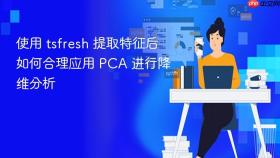 使用 tsfresh 提取特征后如何合理应用 PCA 进行降维分析