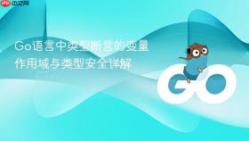 Go语言中类型断言的变量作用域与类型安全详解
