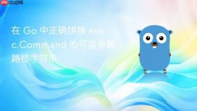 在 Go 中正确拼接 exec.Command 的可变参数路径字符串