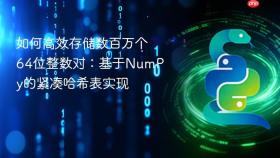 如何高效存储数百万个64位整数对：基于NumPy的紧凑哈希表实现