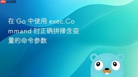 在 Go 中使用 exec.Command 时正确拼接含变量的命令参数