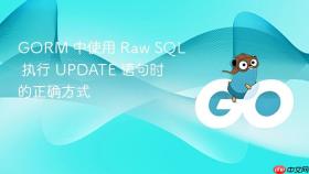 GORM 中使用 Raw SQL 执行 UPDATE 语句时的正确方式
