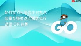 如何在 Go 语言中对布尔变量与整型返回函数执行逻辑 OR 运算