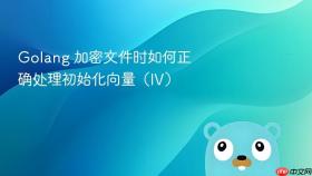 Golang 加密文件时如何正确处理初始化向量(IV)