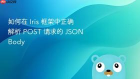 如何在 Iris 框架中正确解析 POST 请求的 JSON Body